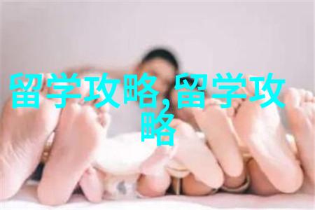 论波士顿大学与国内院校的实力对标及留学申请条件