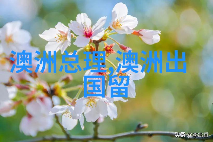 深入探讨澳大利亚大学押金交多少的必知信息
