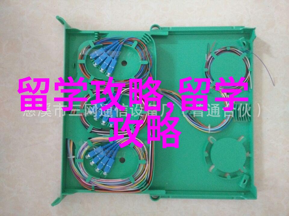 港澳留学新趋势热门专业解析与申请攻略