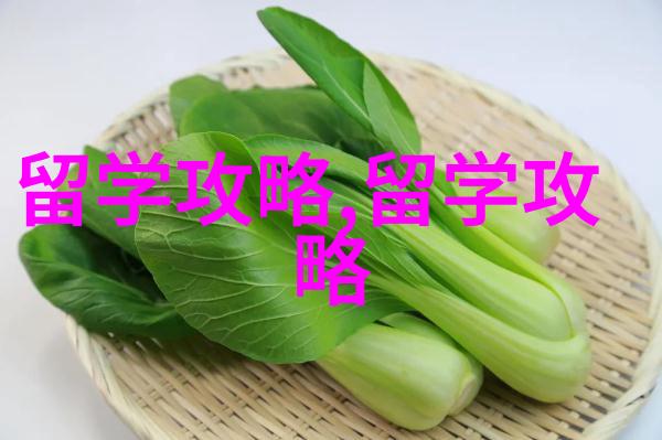 新加坡 亚洲最安全最具优势的留学国家